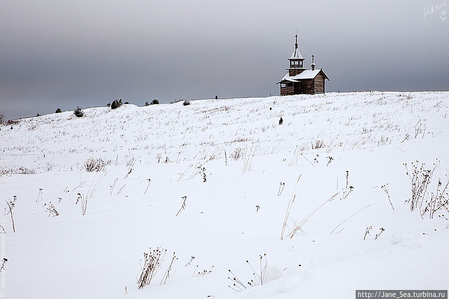 Часовня Спаса Нерукотворного из деревни Вигово