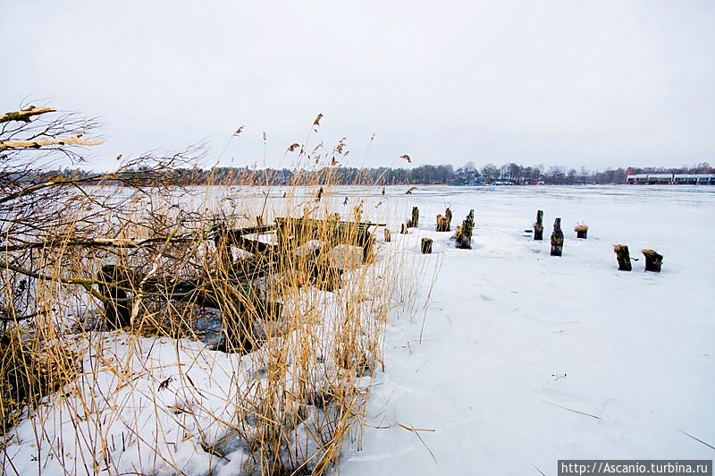 Прогулка по зимнему Тракаю Тракай, Литва