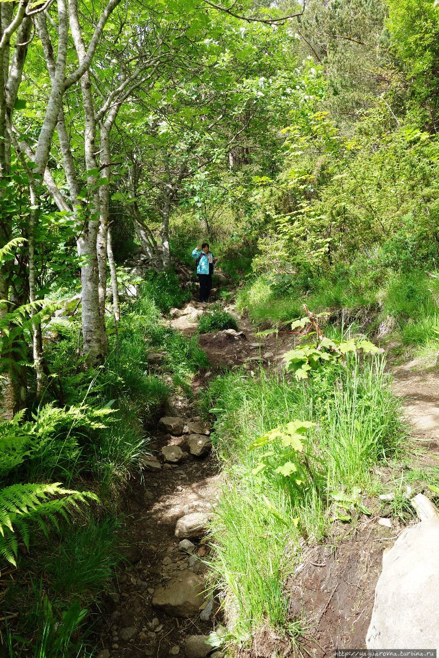 Сахарная вершина Олесунн, Норвегия Сахарная вершина Олесунн, Норвегия