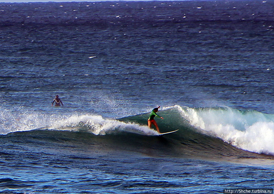 Oahu koko Creater