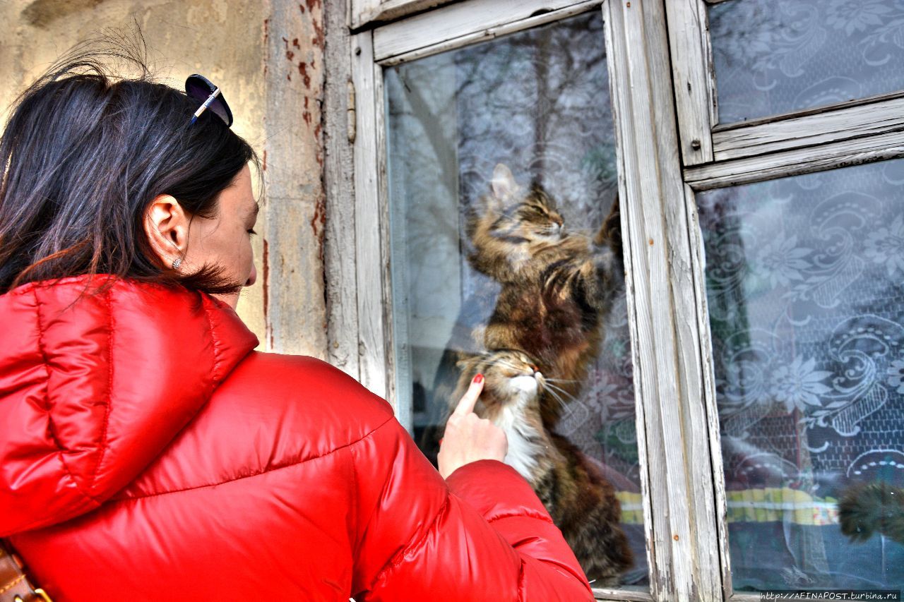 Торжокские киски Торжок, Россия