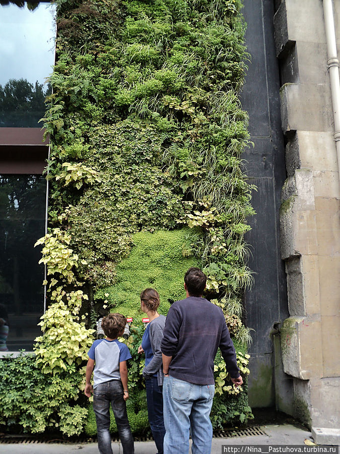 Музей  Бранли.  Вертикальные  сады Блана Париж, Франция