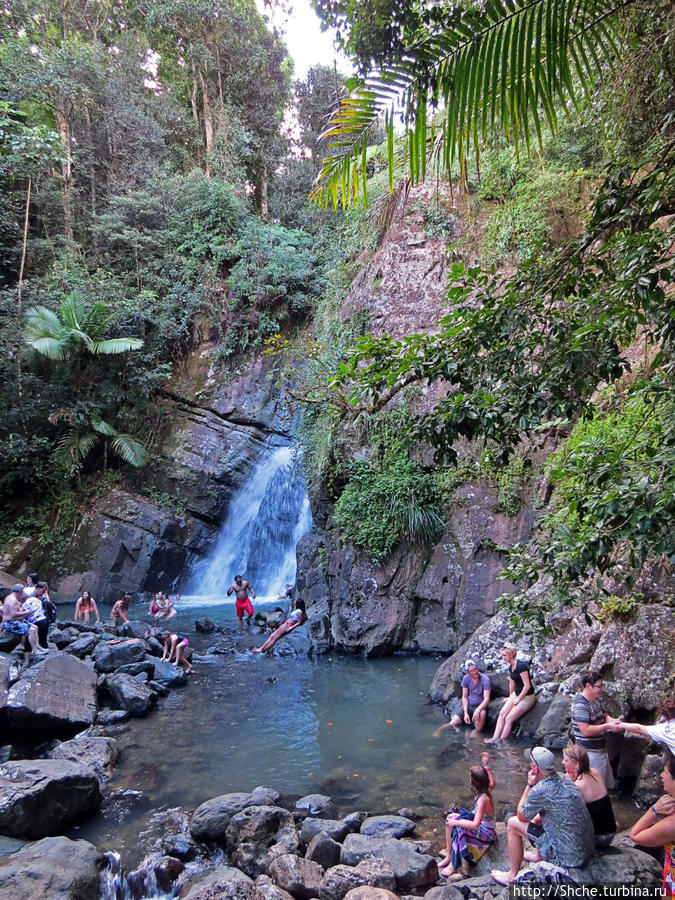 так минут через 40-45 показался искомый Ла Мина водопад Эль Юнке Национальный Лес, Пуэрто-Рико