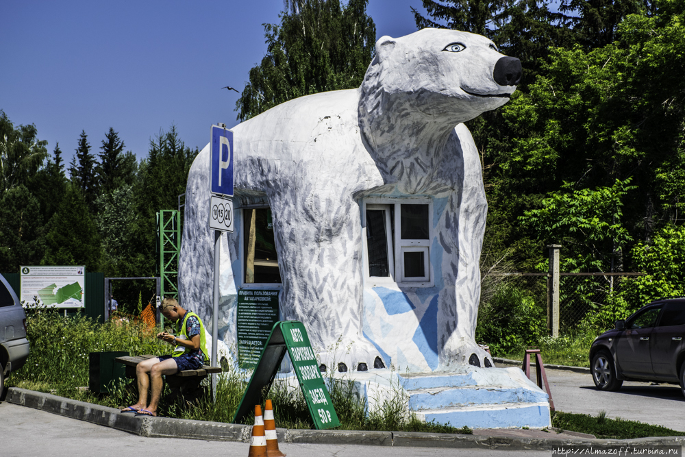 Новосибирск парк зоопарк