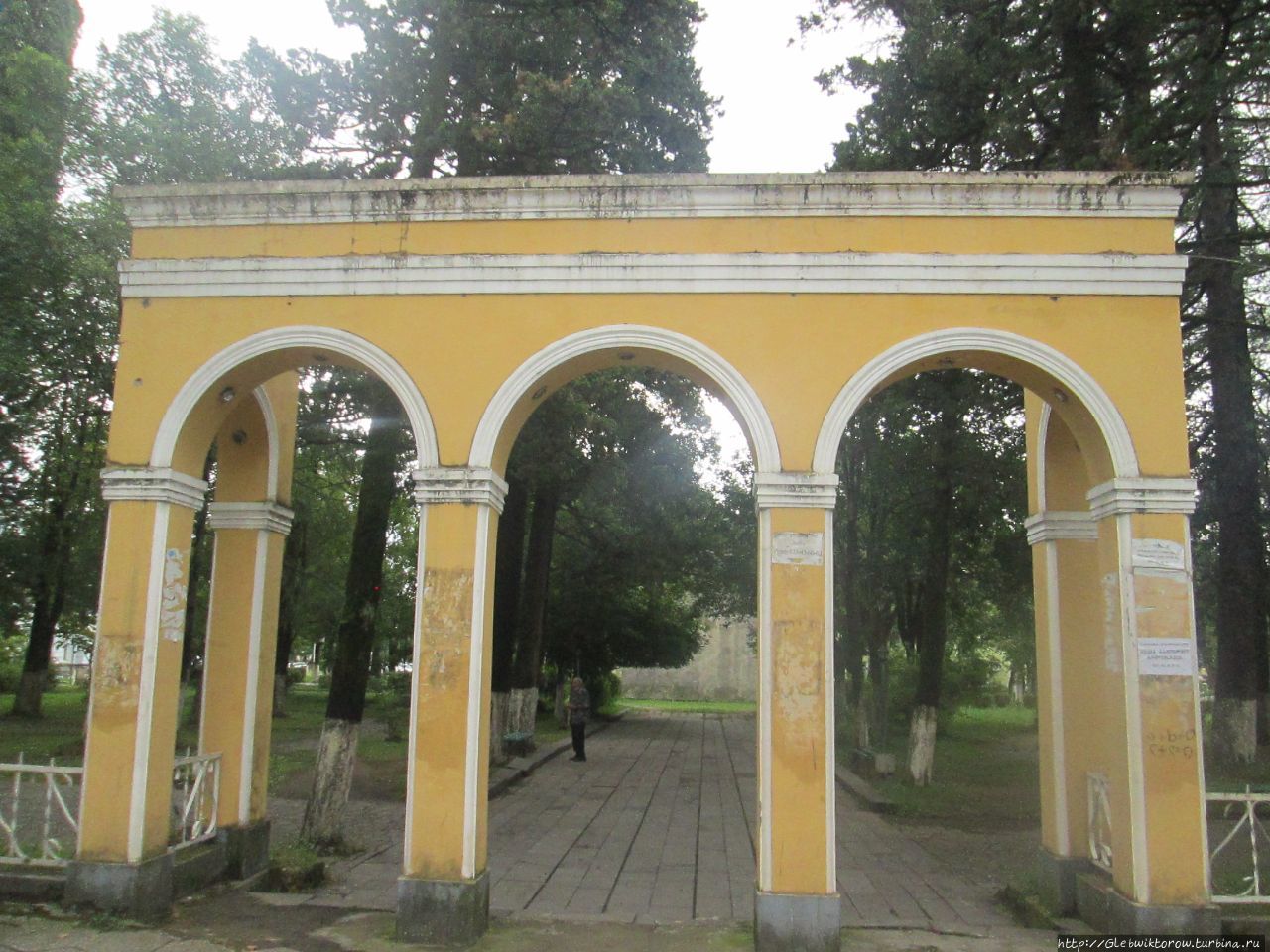 город сенаки грузия