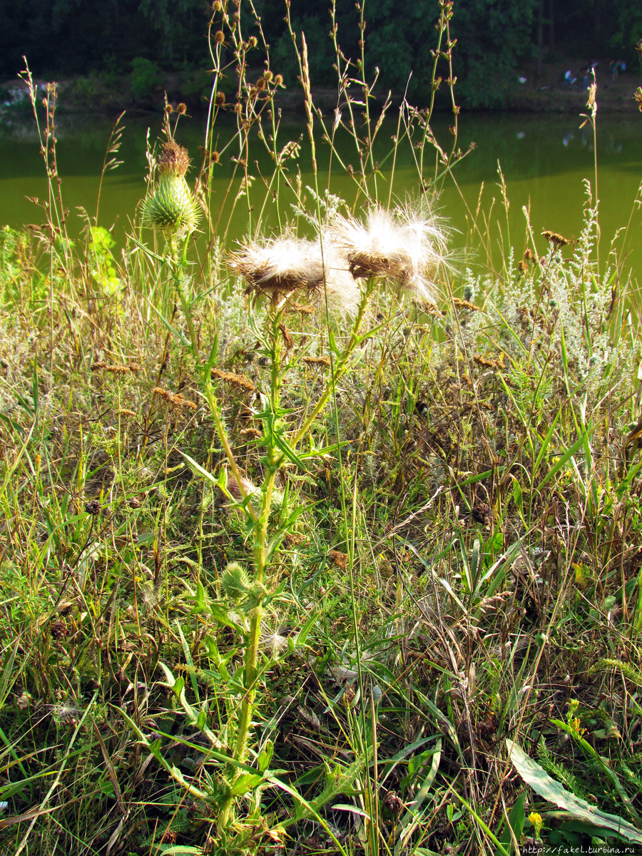 Триозерье Харьков, Украина