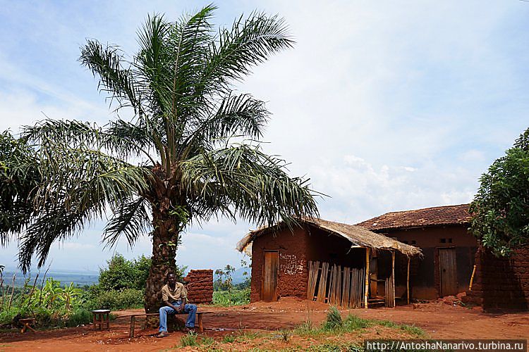 Негр под пальмой Бурунди