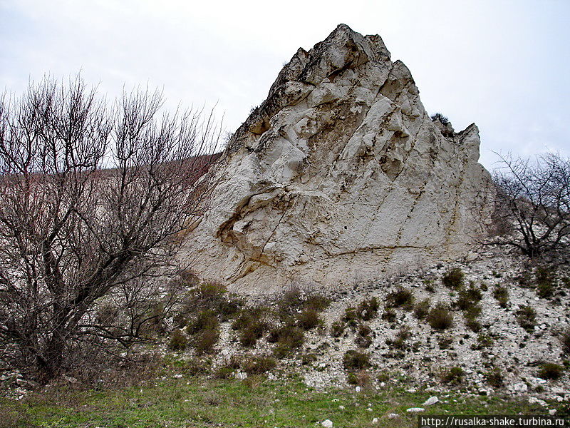 Меловые горы в донских степях