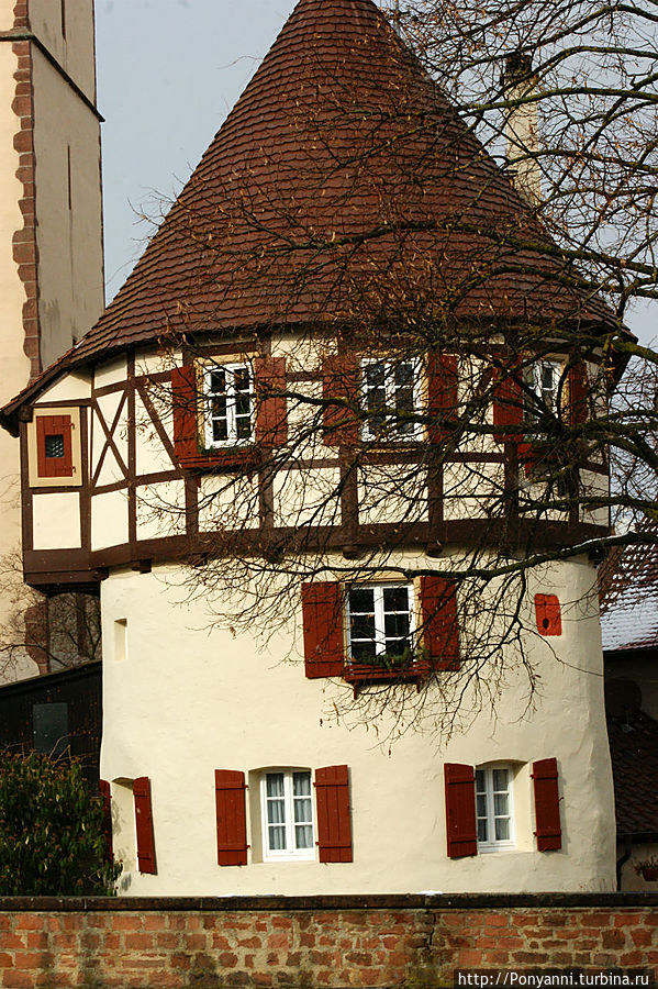 Крепость со стороны центральнй улицы