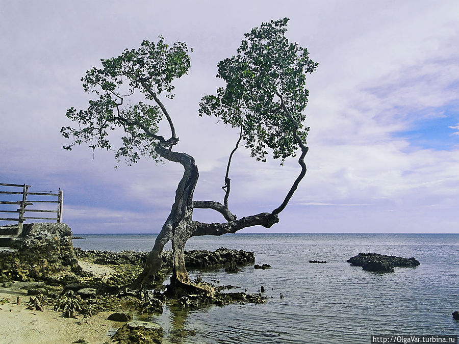 Солнечная Хагна Хагна, остров Бохол, Филиппины