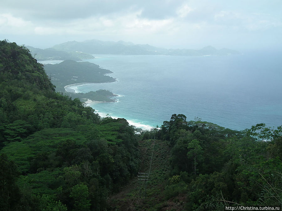 Чайная фабрика Остров Маэ, Сейшельские острова
