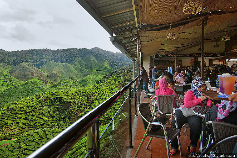 Кафе с видом на чайные плантации Танах-Рата, Малайзия