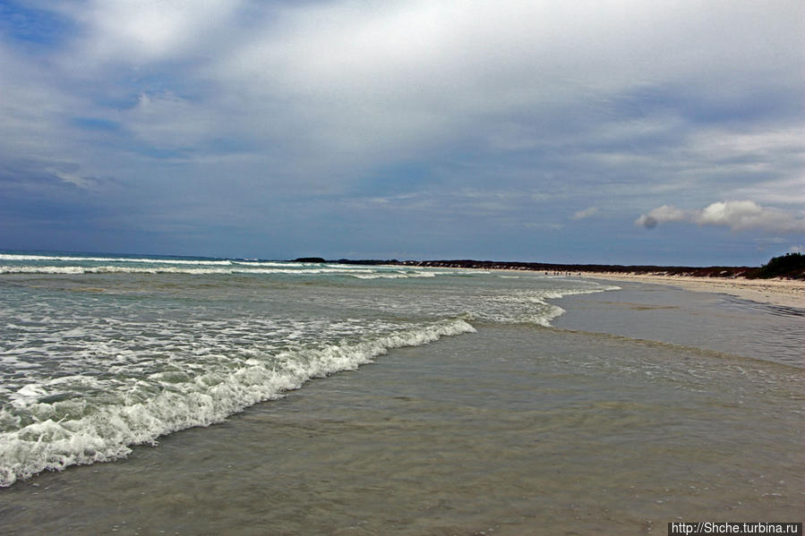 Playa Brava — километр чистейшего песка для морских игуан Пуэрто-Айора, остров Санта-Крус, Эквадор