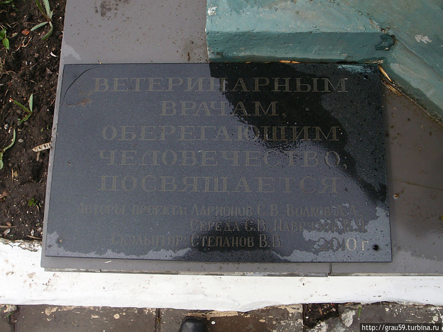 Памятник ветеринару Саратов, Россия