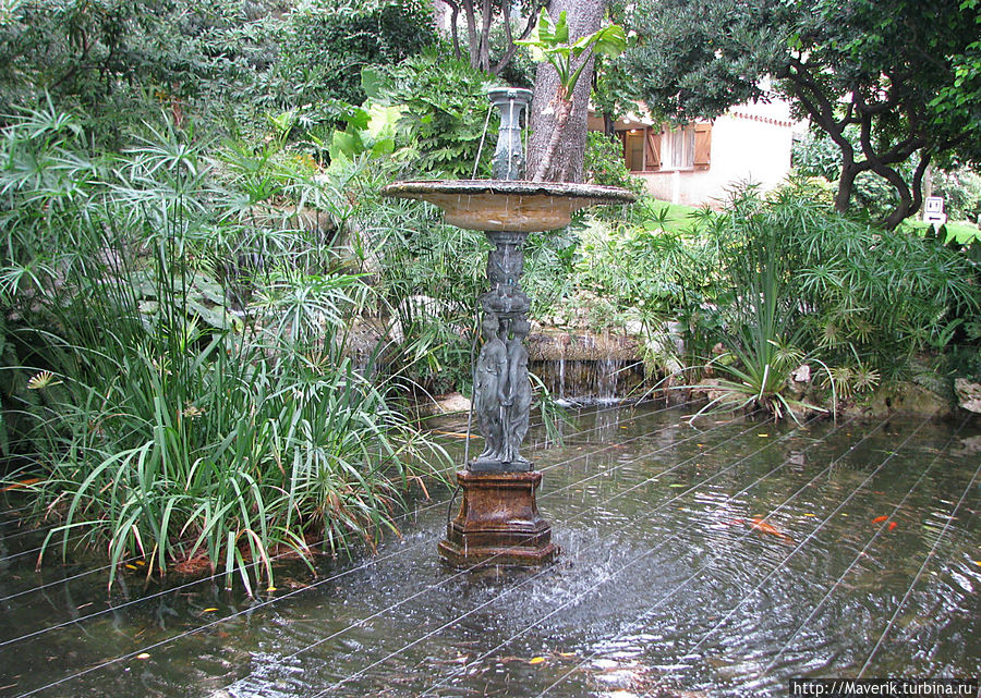 Более 20% территории Монако занята парками и садами. Прогулка по Экзотическому саду доставила большое удовольствие. Можно понаблюдать за экзотическими рыбками в пруду.