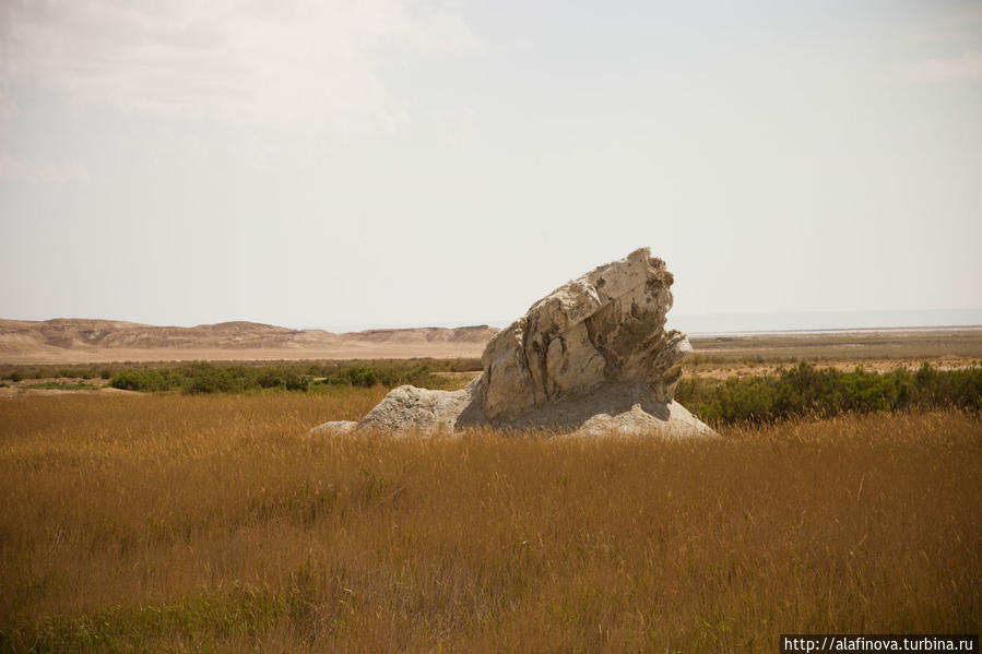 Лев Карагие впадина (-132м), Казахстан