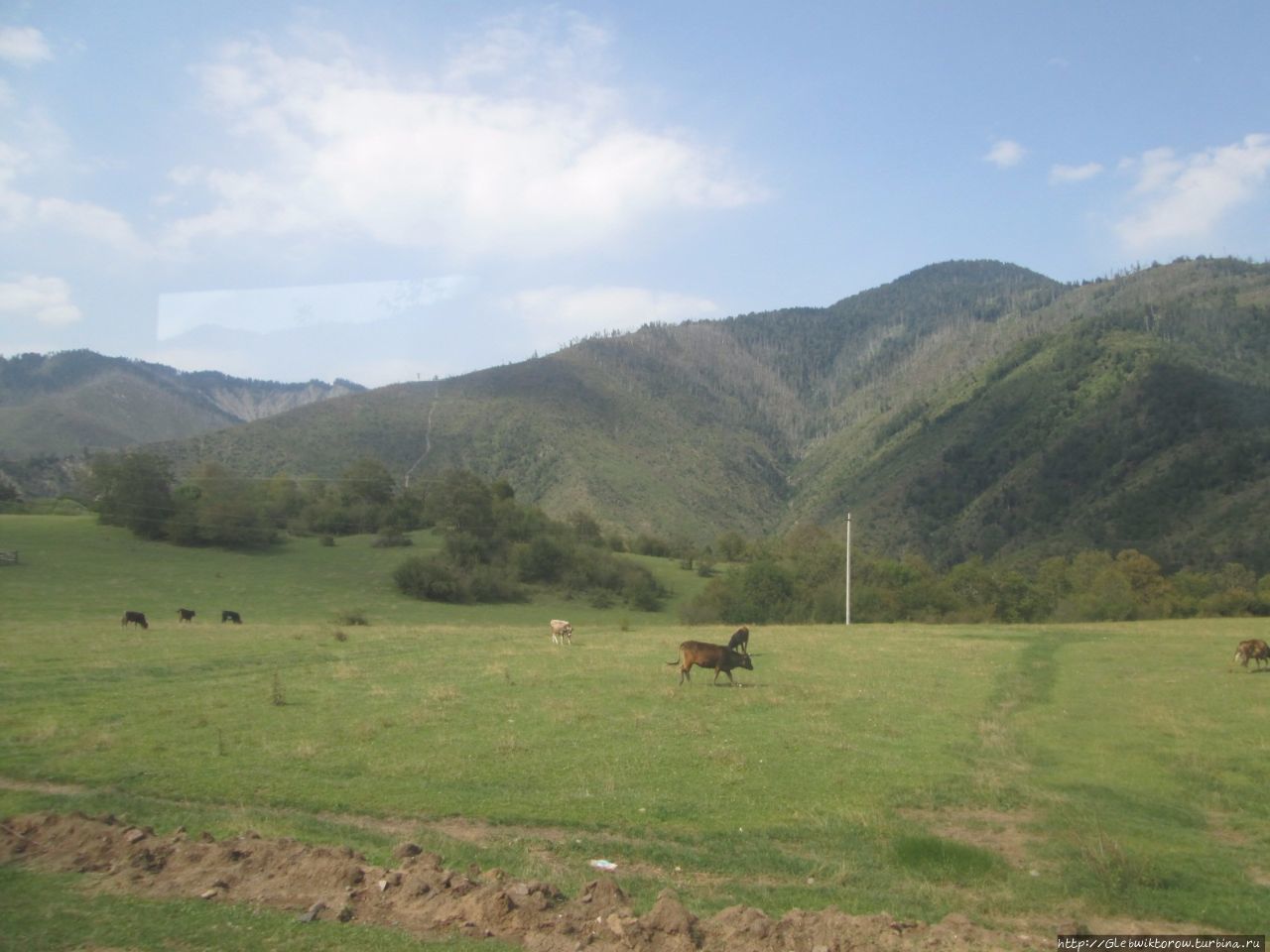 Поездка из Бакуриани в Боржоми по узкоколейной дороге Бакуриани, Грузия