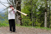 Никогда раньше не слышал ничего подобного.

Трембита — народный духовой мундштучный музыкальный инструмент, род обернутой берестой деревянной трубы без вентилей и клапанов.