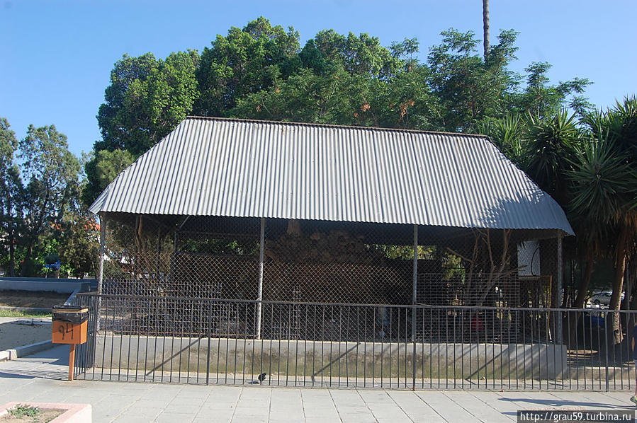 В городских садах Ларнаки Ларнака, Кипр