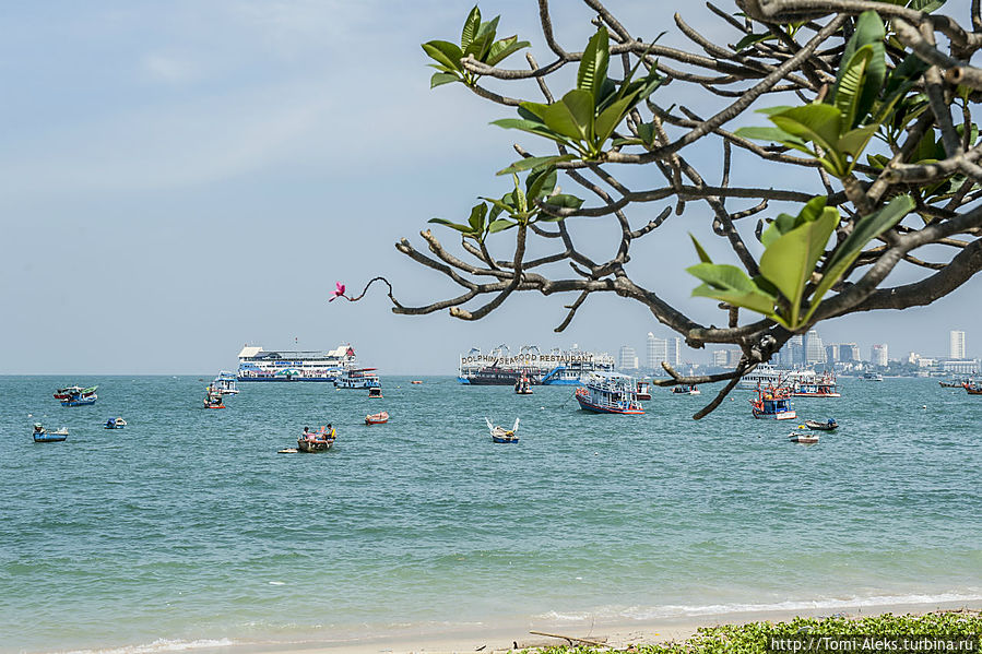 В акватории Сиамского залива — ляпота от всякого рода плавучих средств...
*