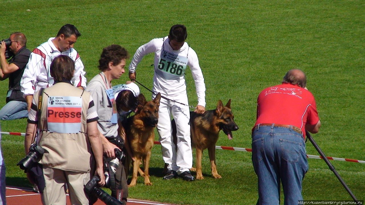 Зигер в Ульме Ульм, Германия