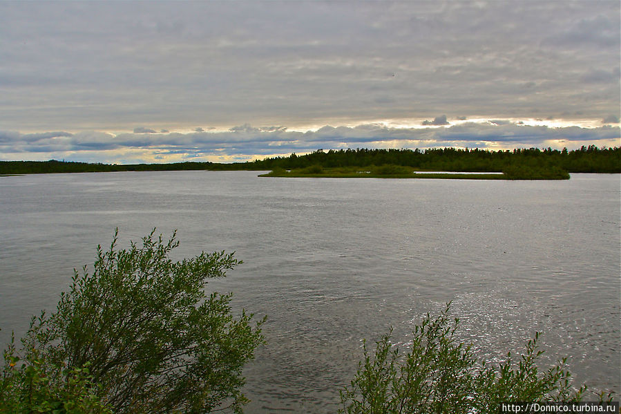 Река Паз в этих местах широка и норвежский берег еще далеко Пасвик Заповедник, Россия