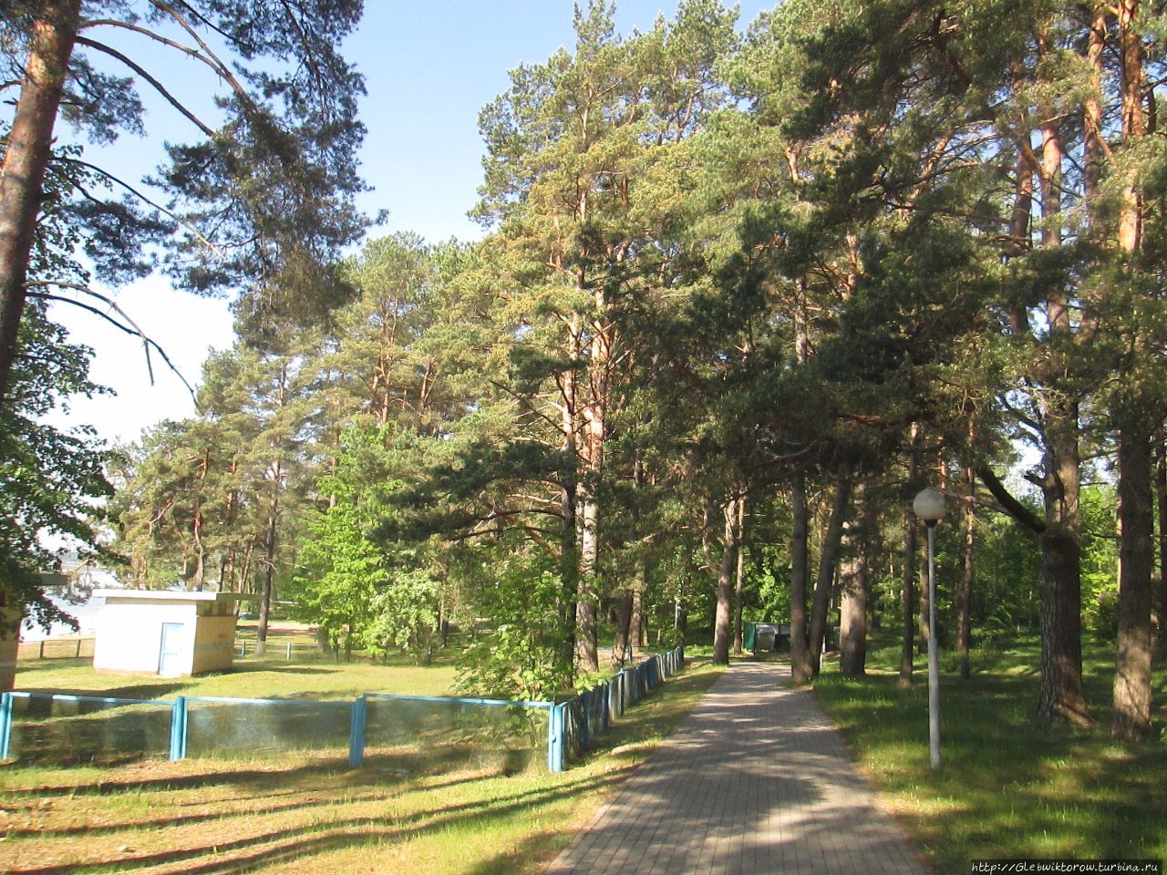 Прогулка по санаторному парку Нарочь, Беларусь