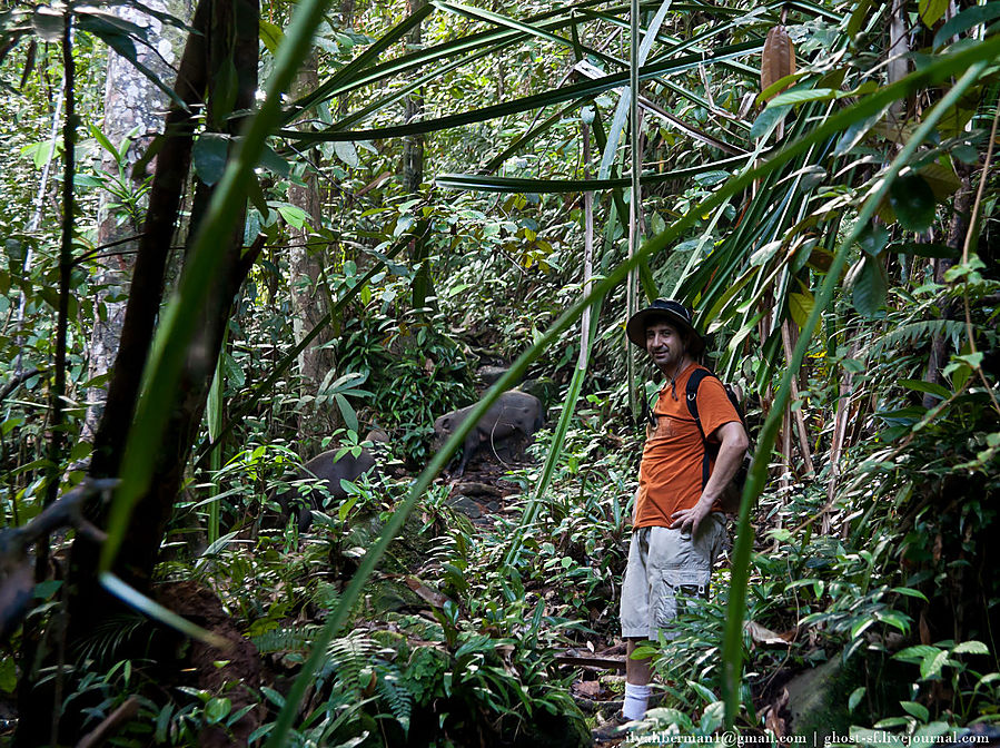 Азиатский калейдоскоп. Ч5 Удивительный мир Бако. Дни  2-4 Бако Национальный Парк, Малайзия