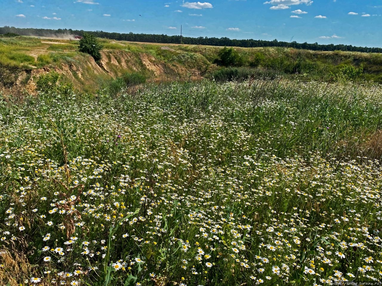 Соленое озеро Антоновка, Украина