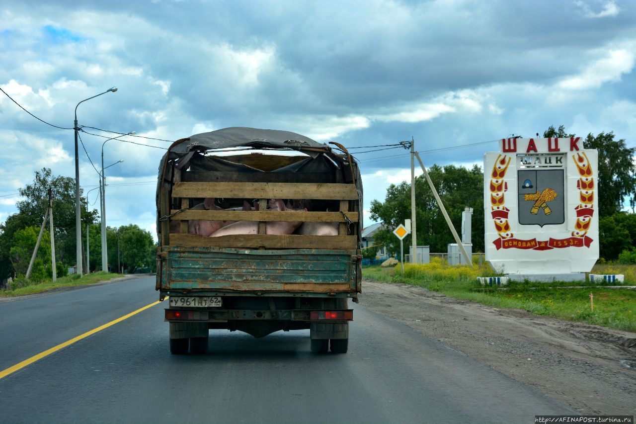 Фото Г Шацка