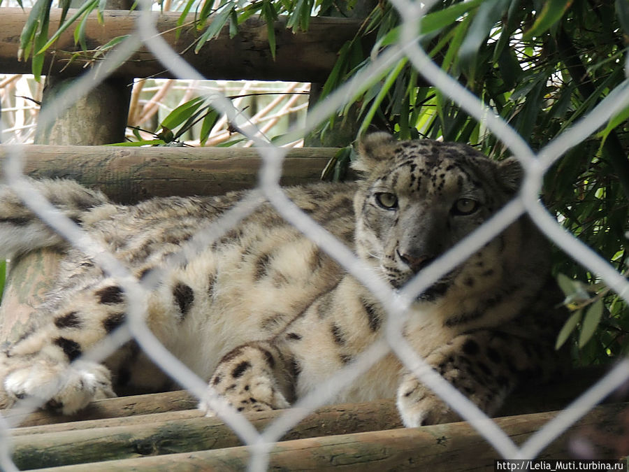 Лиссабонский ZOO-Дом Лиссабон, Португалия