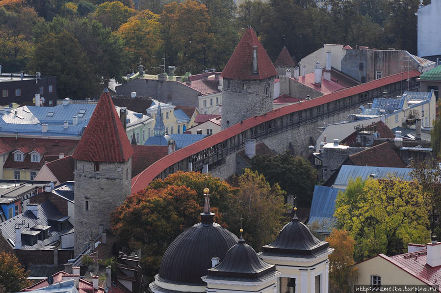 Городская стена Таллин, Эстония