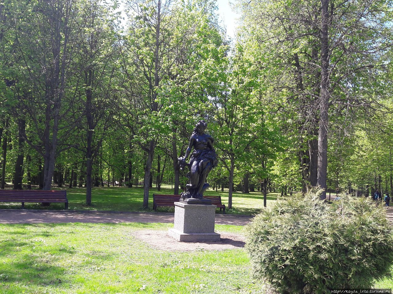 Петровско разумовская березки дачные. Усадьба Петровское-Разумовское. Петровское Разумовское парк. Аллея в Петровском. Парк лестничная аллея на Петровско Разумовском.