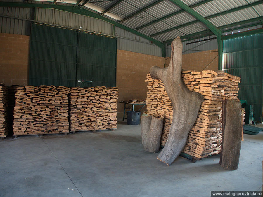 Пробковая фабрика в Ронде Ронда, Испания