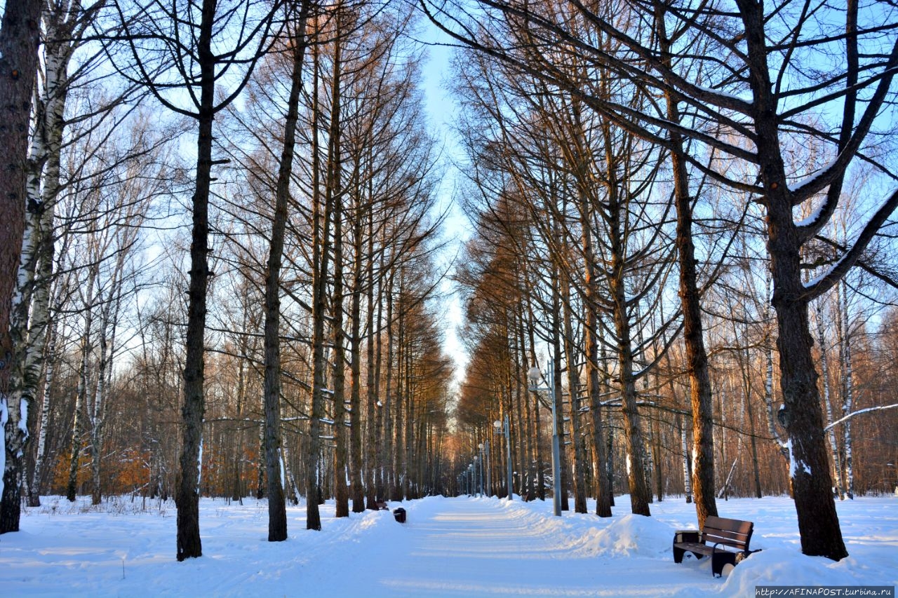 Тропарёвский парк Москва, Россия