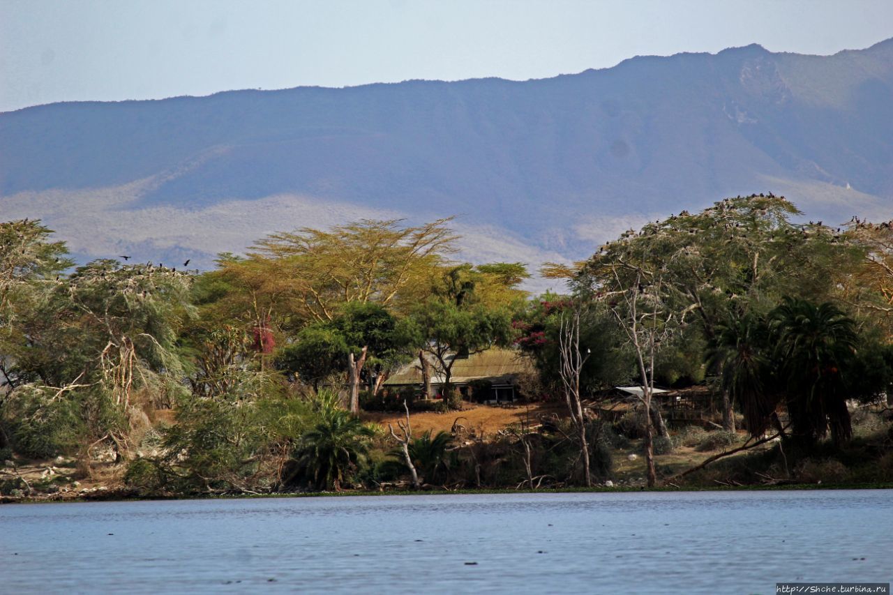 Озеро Найваша Озеро Найваша Национальный Парк, Кения
