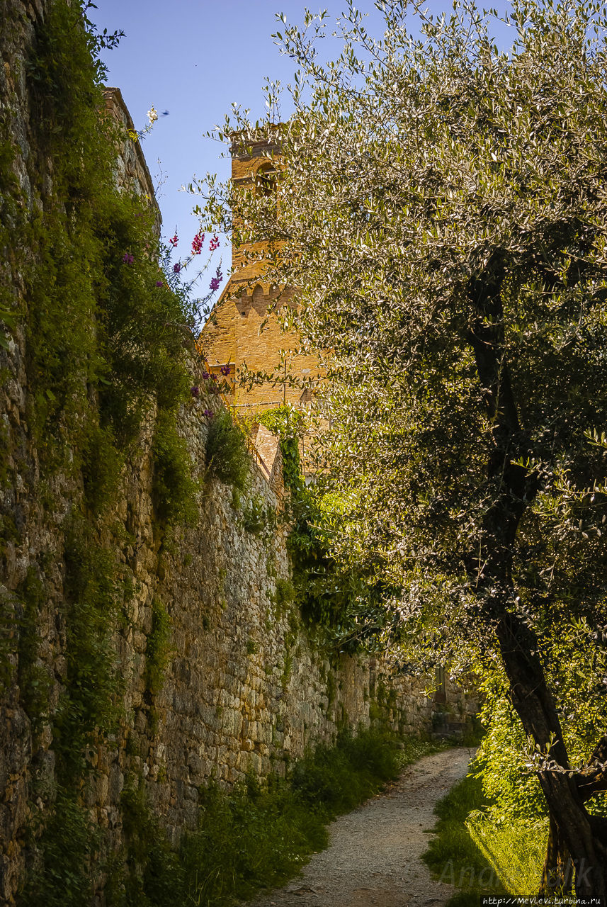 Город San Gimignano над долиной местного Кьянти Сан-Джиминьяно, Италия