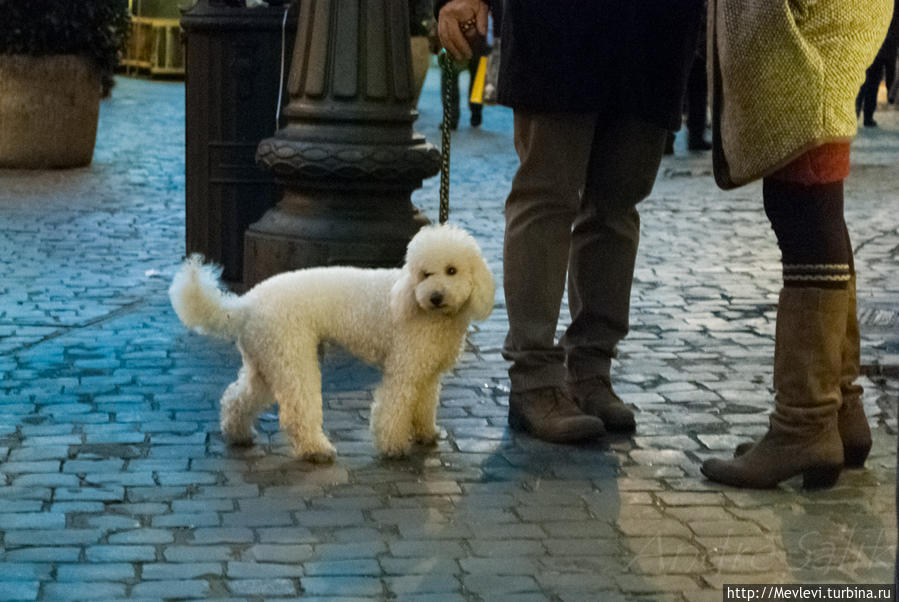 Рим вечерний Рим, Италия