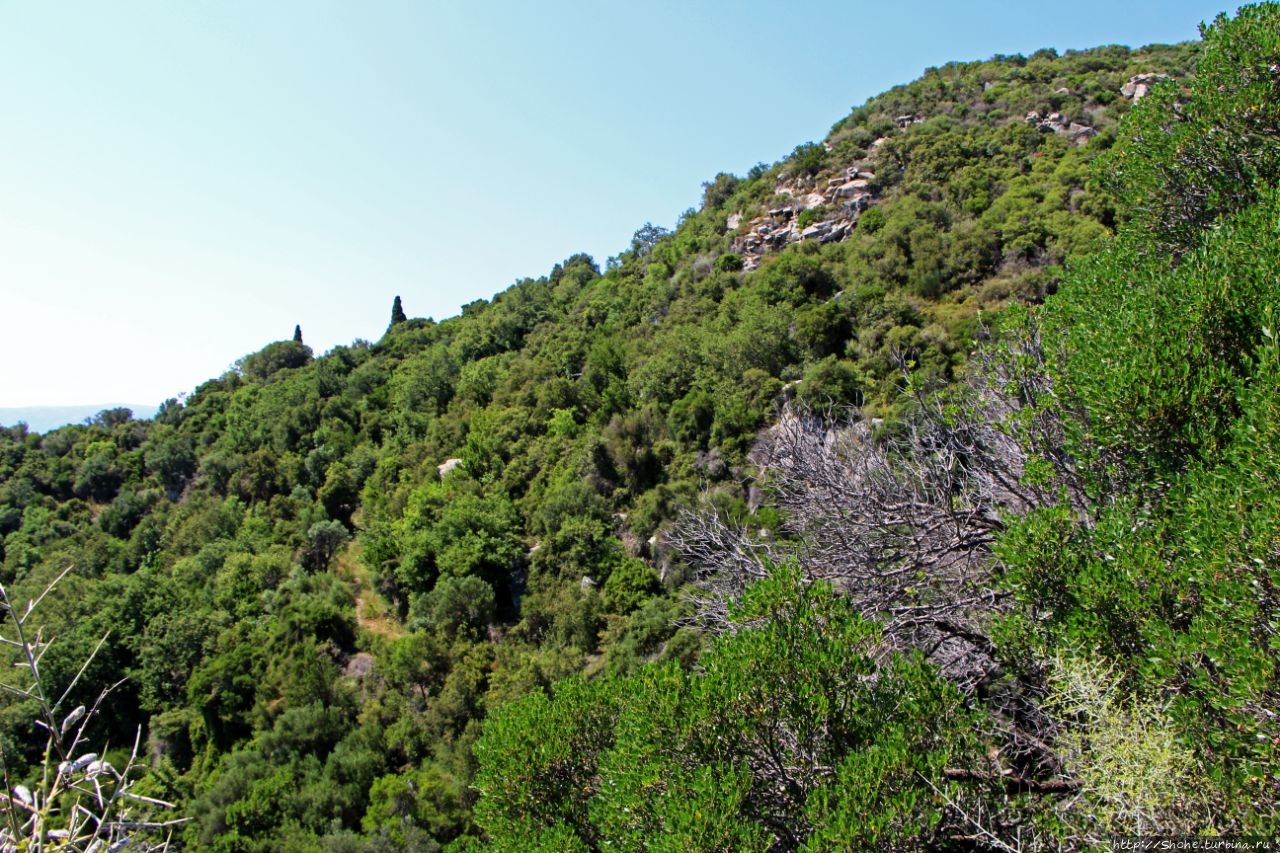 Монашьими тропами по святой земле Афона Монастырь Свято-Пантелеимонов (Афон), Греция