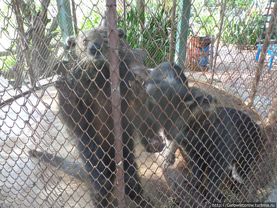 Самут-Пракан. Зоопарк Самут-Пракан, Таиланд