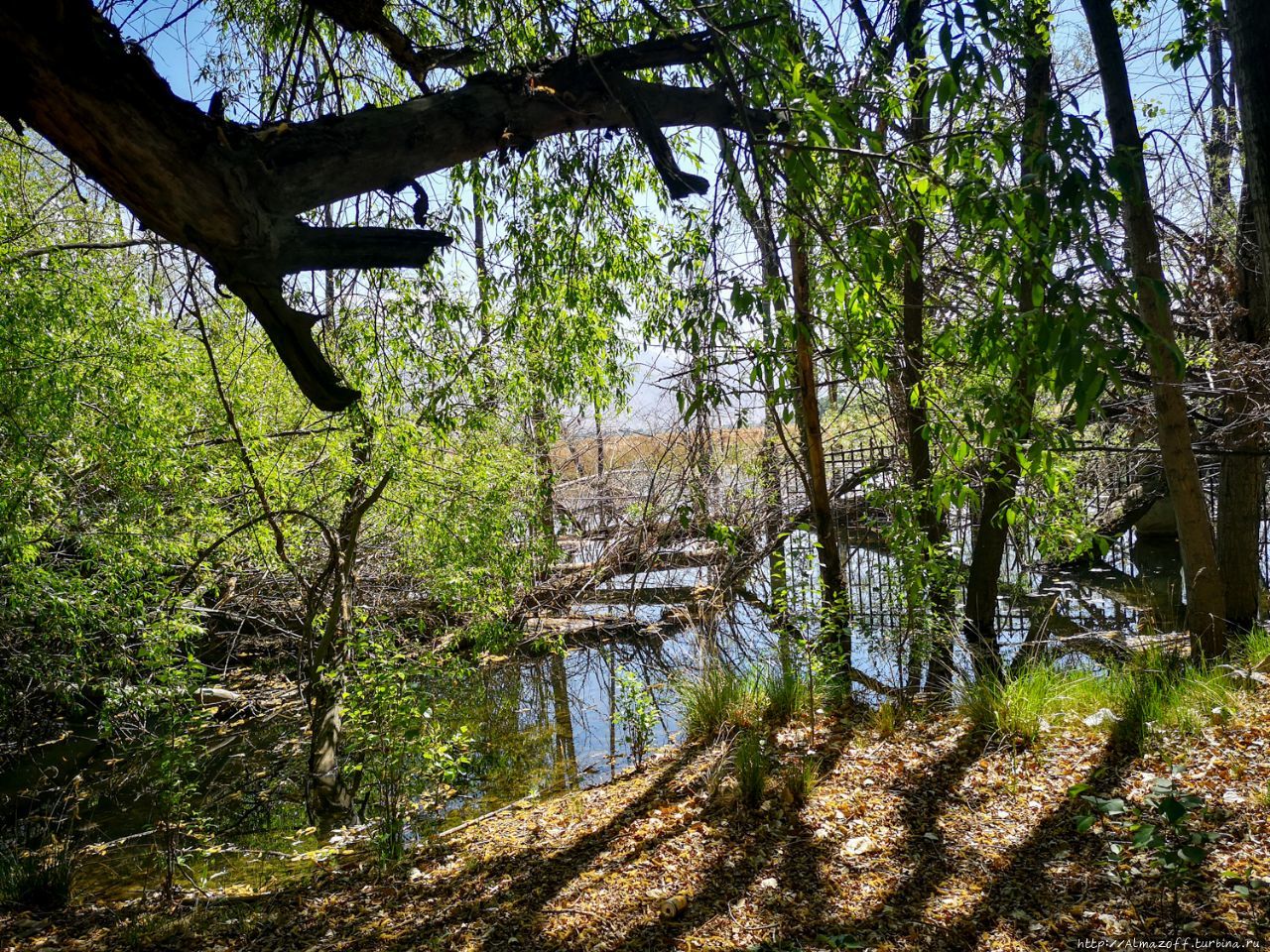 Неизведанная Лхаса Лхаса, Китай