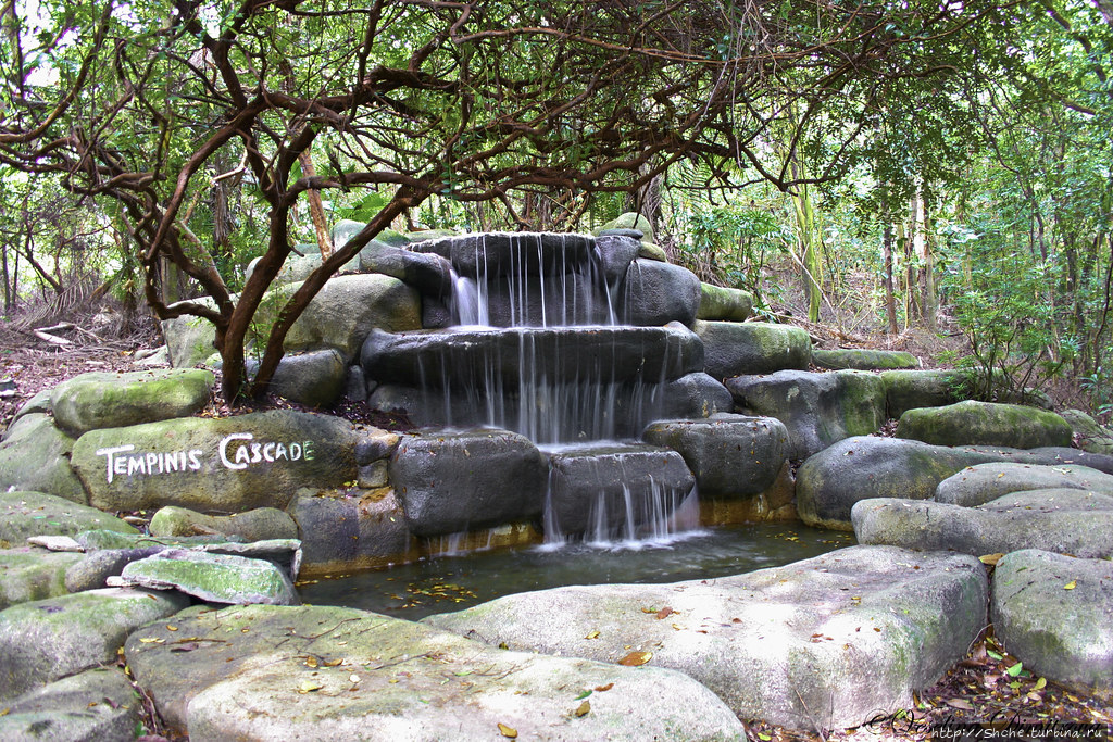 фото из интернета фото из интернета