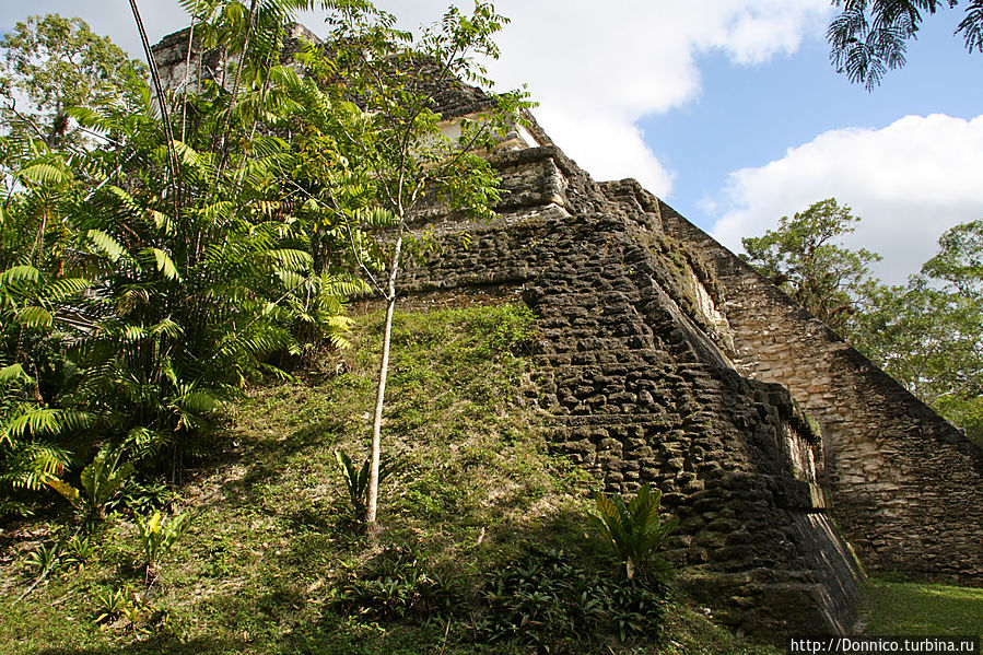 Коронная Чакра Тикаль Национальный Парк, Гватемала