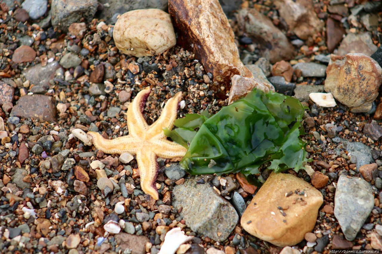 Маяк Токаревский (Токаревская кошка) Владивосток, Россия