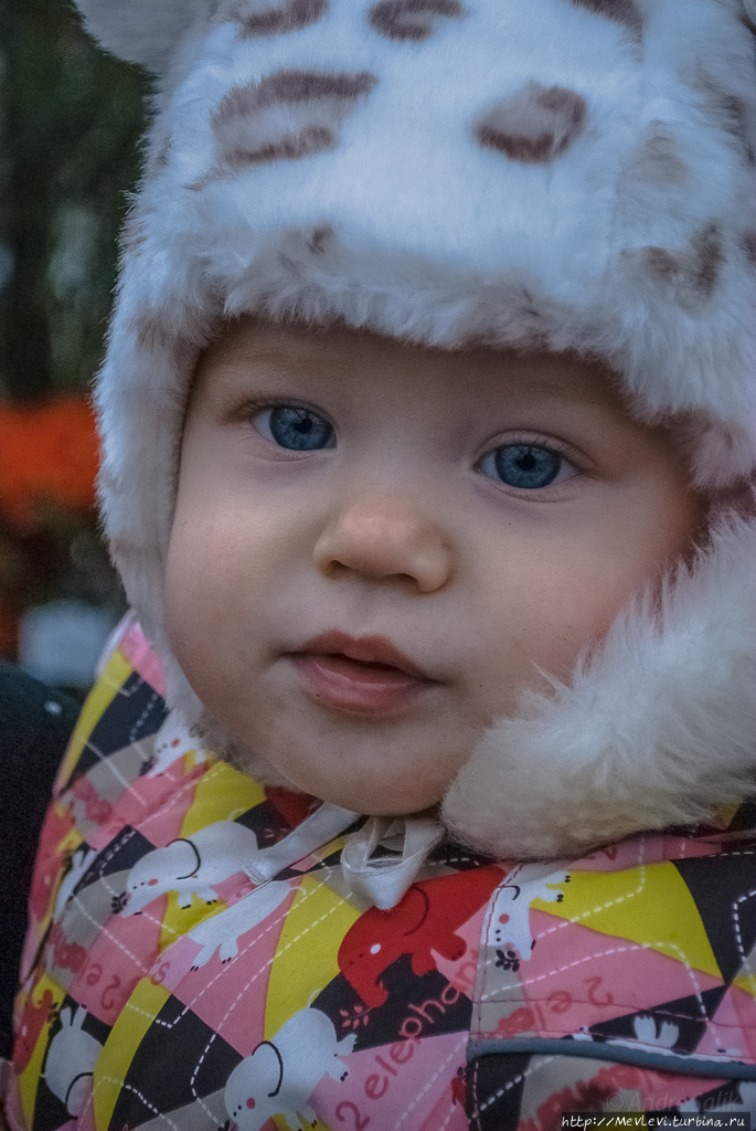 Среди азалий Рига, Латвия