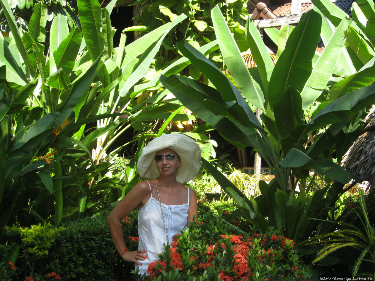 Опять шляпа и очки:)