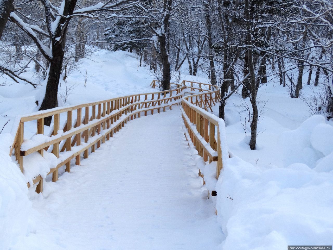 Останец (гора) Лягушка Весточка, Россия