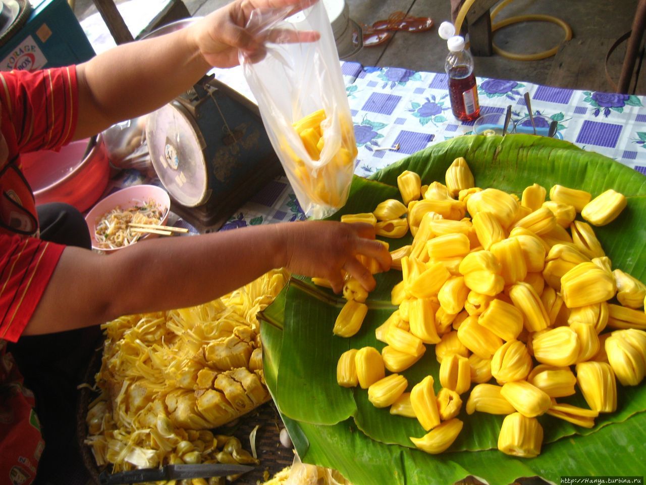 Джек-фрукт. Фото из интернета Нячанг, Вьетнам