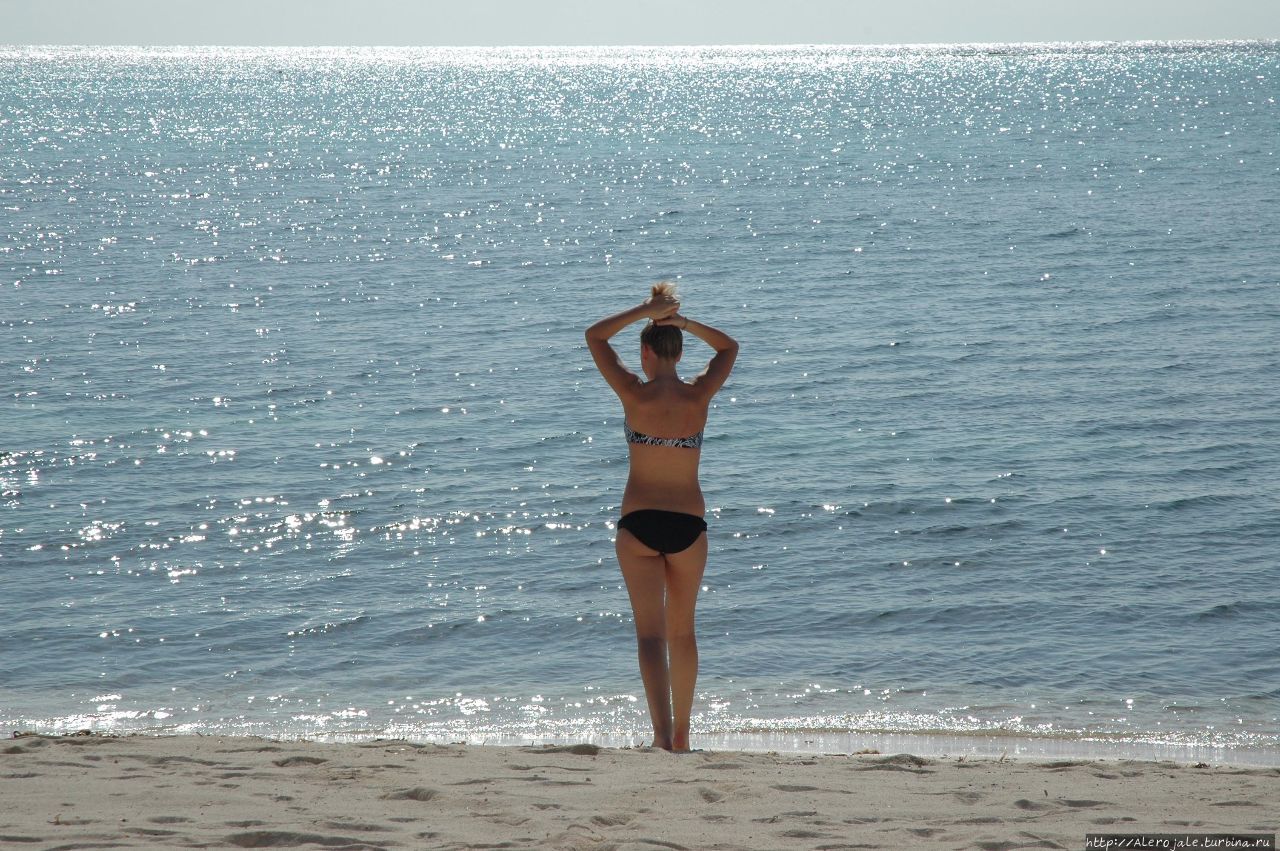 Hacienda Tres Rios Плая-дель-Кармен, Мексика