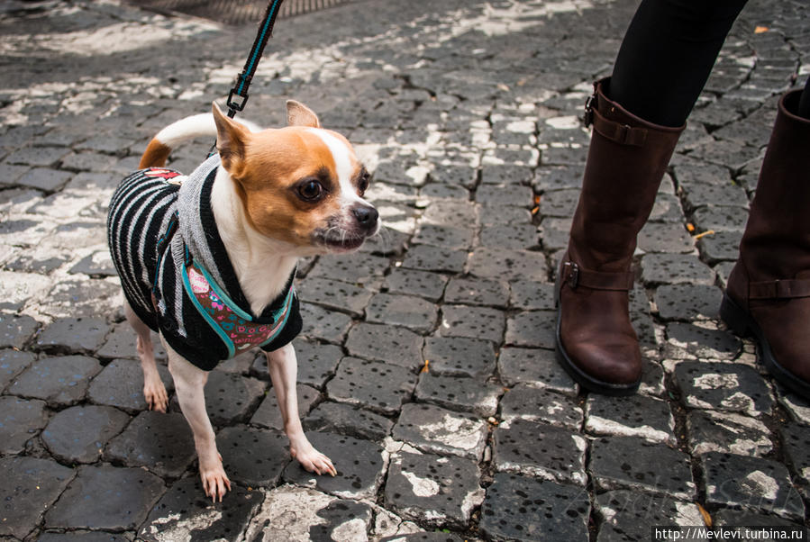 Полуденный красивый Рим Рим, Италия